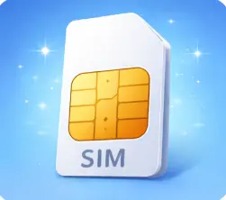 SIM Card